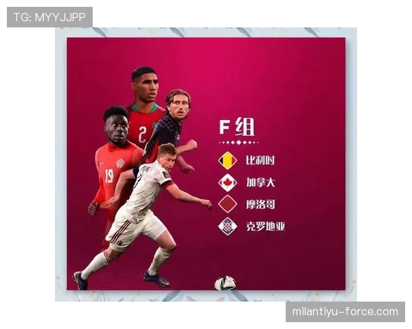 2026世界杯F组谁会拿到小组第一